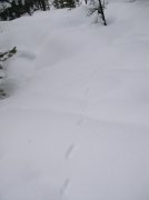 Sunriver Jan 06a 118 